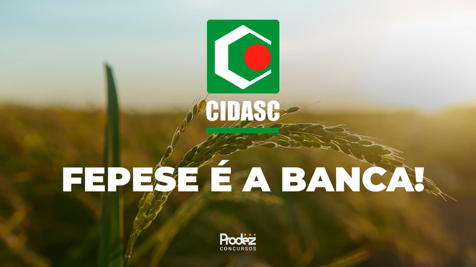 Fepese é definida como banca do novo concurso Cidasc